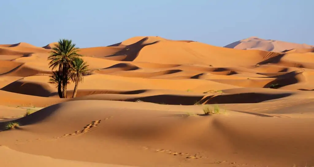 Why You Should Take a Sahara Desert Tour in Morocco