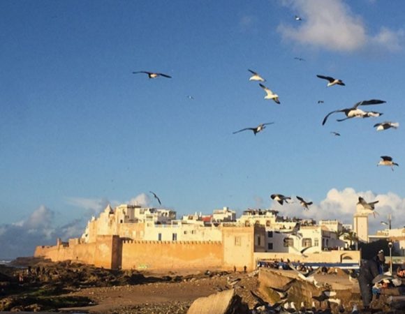 How to Plan a Perfect Day Trip From Marrakech to Essaouira
