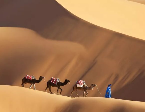 Essential Facts and Information About Merzouga, Morocco
