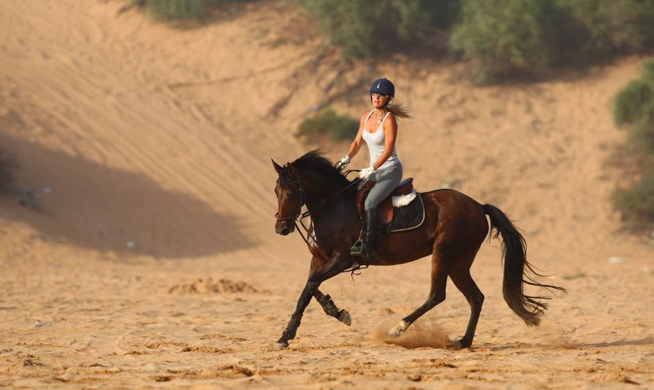 Saddle up and Explore: Embark on a Breathtaking Horseback Riding Journey